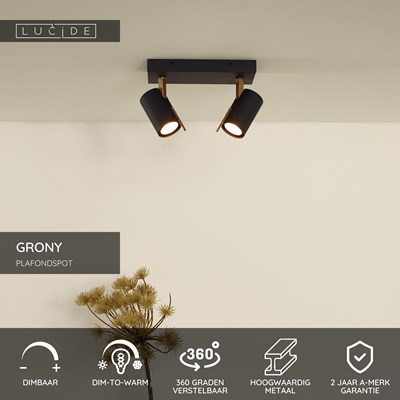 Lucide GRONY - Plafondspot - LED Dim to warm - GU10 - 2x5W 2200K/3000K - Zwart